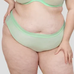 Curvy Couture Women's Plus Size Sheer Mesh High Cut Brief Panty -Best Clothing Store GUEST 23ba599c beed 48a9 8c71 b79a573851c7