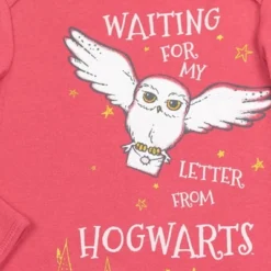 Harry Potter Hedwig Owl Baby Girls 3 Pack Sleeper Gown Newborn To Infant -Best Clothing Store GUEST 25314fd4 be2a 4ac4 9fcc 5e26238d399e