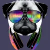 Women's Design By Humans Rainbow Beat DJ Pug By Clingcling Racerback Tank Top -Best Clothing Store GUEST 2cb65fd7 5b38 4378 8e0e 66e5e474e97f