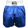 Cleto Reyes Women's Satin Polyester Boxing Skirt Trunks - Blue/White -Best Clothing Store GUEST 40cd019e 6d04 49f4 be1c d9bddd56e129
