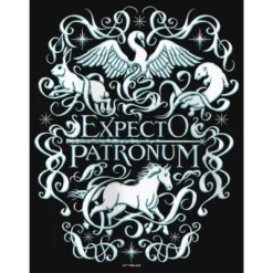 Girl's Harry Potter Expecto Patronum Animals T-Shirt