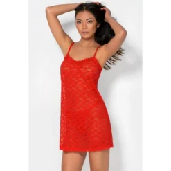 Smart & Sexy Women's Sheer Lace & Mesh Chemise Lingierie -Best Clothing Store GUEST 71ecb717 86ce 4f92 9d04 c4682c8d3162