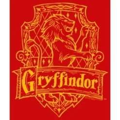Boy's Harry Potter Gryffindor Line Art Crest T-Shirt