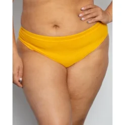 Curvy Couture Women's Plus Size Sheer Mesh High Cut Brief Panty -Best Clothing Store GUEST a439c3e4 ad47 4b5d b689 8a1ac5060184