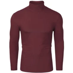 Lars Amadeus Men's Pullover Turtle Neck Long Sleeves Stretchy Slim Fit Tops -Best Clothing Store GUEST af2040f6 7585 4b8d 95f3 09507ae60d1d