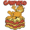 Boy's Garfield Cool Lasagna Lover T-Shirt -Best Clothing Store GUEST af513ce6 6d91 40e8 9282 4e197b1a446f