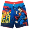 DC Comics Justice League The Flash Superman Batman 3 Pack Swim Trunks Toddler -Best Clothing Store GUEST b08dbb67 f18d 4dbf 8dd3 a9e505dbe352