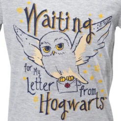 Harry Potter Hedwig Owl Girls T-Shirt And French Terry Shorts Outfit Set Little Kid To Big Kid -Best Clothing Store GUEST e47d1c82 bb43 41af a335 7b8dd8824e15