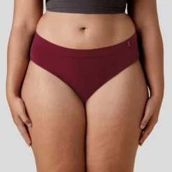 Thinx For All Women's Super Absorbency Bikini Period Underwear -Best Clothing Store GUEST e729c626 0976 4550 b6e4 ad40a1bbfaf6