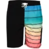 Reel Life Bal Harbor Rainbow Stripe Boardwalk Shorts - Anthracite -Best Clothing Store GUEST f48e41d2 096e 43ba 872f 6aa63b55b361